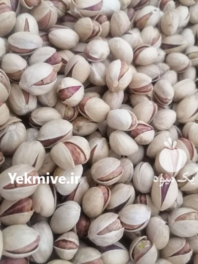 فروش پسته مغز پسته خراسان کشت در گروه خرید و فروش پسته در یکمیوه -عکس2