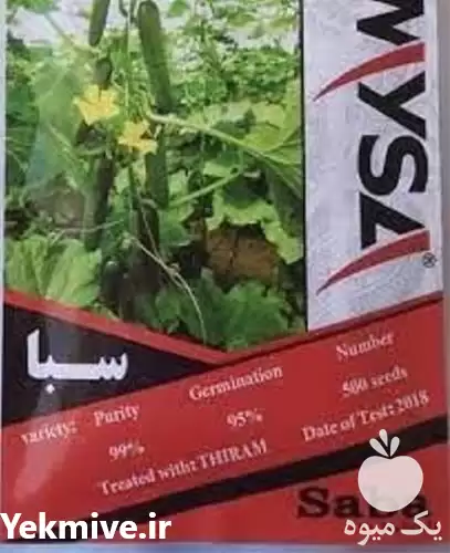 قیمت خرید بذر خیار سبا محصول در شیراز در گروه خرید و فروش بذر خیار در یکمیوه -عکس1