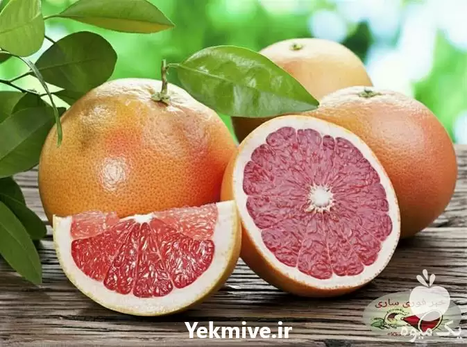 فروش ویژه درخت گریپ فروت پیوندی در ساری در گروه خرید و فروش نهال مرکبات در یکمیوه -عکس1