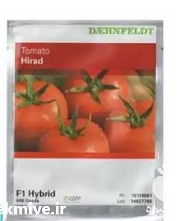 قیمت خرید عرضه بذر گوجه فرنگی در شیراز در گروه خرید و فروش بذر گوجه در یکمیوه -عکس1