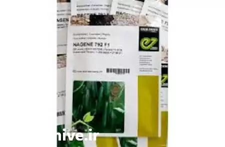 قیمت خرید عرضه بذر خیار ناگین در کرمان  در گروه خرید و فروش بذر خیار در یکمیوه -عکس1