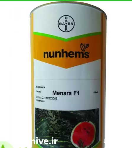 فروش فرش بذر هندوانه منارا در گروه خرید و فروش بذر هندوانه در یکمیوه -عکس1