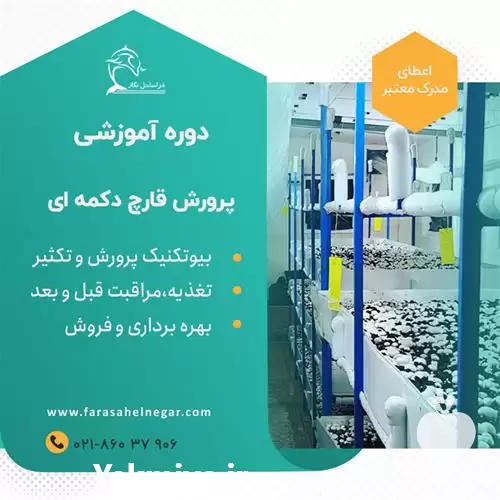 آموزش پرورش قارچ بصورت تخصصی در گروه دوره آموزش کشاورزی در یکمیوه -عکس1