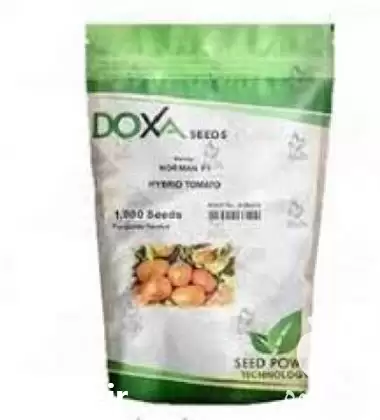 قیمت خرید بذر گوجه فرنگی زودرس در تبریز در گروه خرید و فروش بذر گوجه در یکمیوه -عکس1