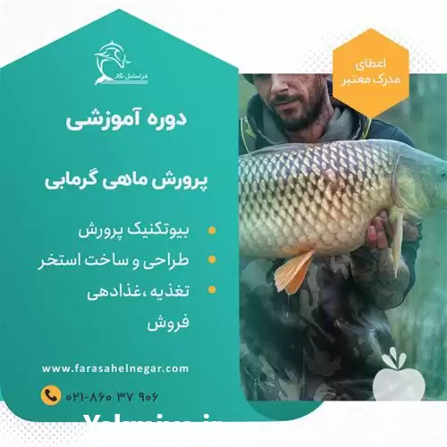 دوره آموزشی سرمایه گذاران پرورش ماهی در تهران در گروه دوره آموزش کشاورزی در یکمیوه -عکس1