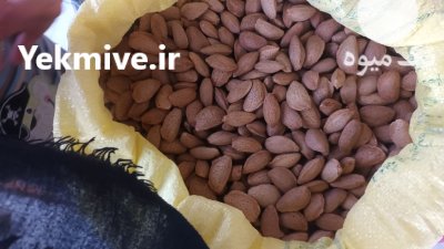 فروش بادام مامایی درشت و باکیفیت در الیگودرز در گروه خرید و فروش بادام در یکمیوه -عکس1