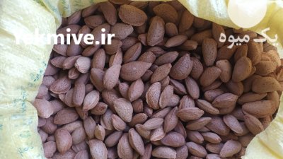 فروش بادام مامایی درشت و باکیفیت در الیگودرز در گروه خرید و فروش بادام در یکمیوه -عکس2