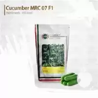 قیمت خرید بذر خیار در ارومیه در گروه خرید و فروش بذر خیار در یکمیوه