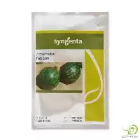 فروش بذر هندوانه تاپ گان در قزوین در گروه خرید و فروش بذر هندوانه در یکمیوه