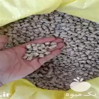 قیمت خرید پلت دامی عرضه پلت در تهران در گروه خوراک دام و طیور در یکمیوه