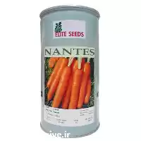 فروش بذر هویج الیت سیدز elite در گروه خرید و فروش بذر هویج در یکمیوه