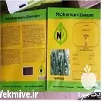 قیمت خرید قیمت بذر خیار کیهان در تهران در گروه خرید و فروش بذر خیار در یکمیوه