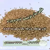 قیمت خرید بذر یونجه بذر علوفه در تهران در گروه خرید و فروش بذر یونجه در یکمیوه