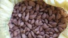 آگهی مشابه فروش بادام درشت و باکیفیت در الیگودرز در گروه خرید و فروش بادام در یکمیوه