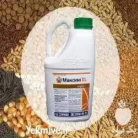 قیمت خرید سم حشره کش ماکسیم در کرج در گروه خرید و فروش انواع سم در یکمیوه
