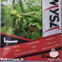 قیمت خرید بذر خیار سبا محصول در شیراز در گروه خرید و فروش بذر خیار در یکمیوه