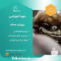 فروش دوره پرورش صدف خوراکی مروارید در گروه دوره آموزش کشاورزی در یکمیوه