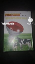 لامپ مادون قرمز 250 و 100 در اصفهان در گروه خرید و فروش لامپ رشد در یکمیوه