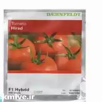 قیمت خرید عرضه بذر گوجه فرنگی در شیراز در گروه خرید و فروش بذر گوجه در یکمیوه