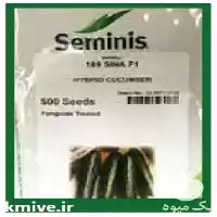 قیمت خرید قیمت بذر خیار شاهین در مشهد در گروه خرید و فروش بذر خیار در یکمیوه