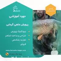 دوره آموزشی سرمایه گذاران پرورش ماهی در تهران در گروه دوره آموزش کشاورزی در یکمیوه