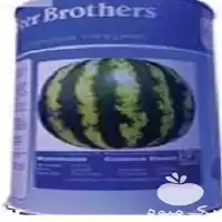 فروش قیمت بذر هندوانه بیکر در گروه خرید و فروش بذر هندوانه در یکمیوه