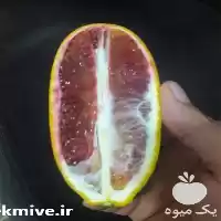 فروش ارائه قلم پرتقال خونی موزی در ساری در گروه خرید و فروش موز در یکمیوه