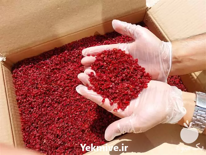 زرشک اناری سوپر صادراتی در ارومیه در گروه واردات و صادرات در یکمیوه -عکس1