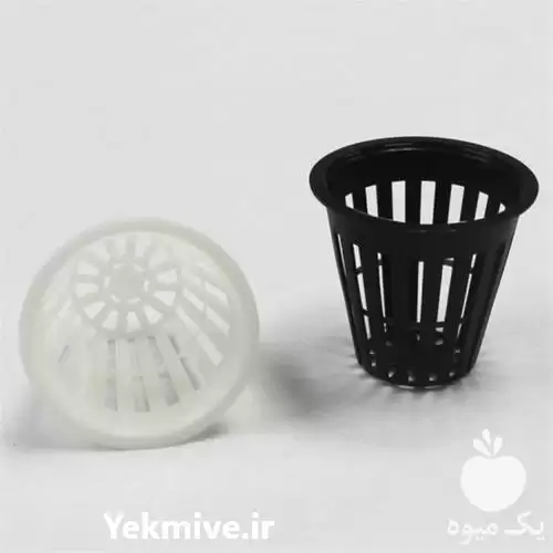 قیمت خرید بهترین انواع گلدان هیدروپونیک در گروه خرید و فروش گیاهان زینتی در یکمیوه -عکس1
