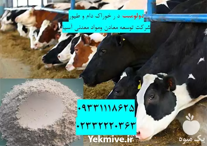 قیمت خرید دولومیت در خوراک دام در گروه خوراک دام و طیور در یکمیوه -عکس1
