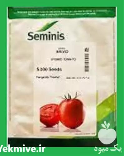 فروش بذر گوجه فرنگی باسیمو در تهران در گروه خرید و فروش بذر گوجه در یکمیوه -عکس1