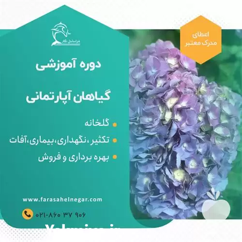 دوره آموزشی پرورش گیاهان آپارتمانی در گروه دوره آموزش کشاورزی در یکمیوه -عکس1