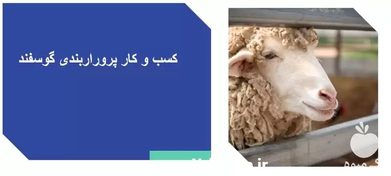 آموزش صفر تا صد نحوه راه در تهران در گروه دوره آموزش کشاورزی در یکمیوه -عکس1