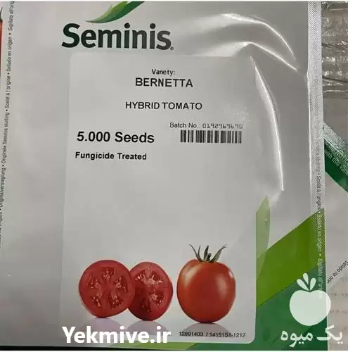 قیمت خرید بذر گوجه فرنگی برنتا در کرمان  در گروه خرید و فروش بذر گوجه در یکمیوه -عکس1
