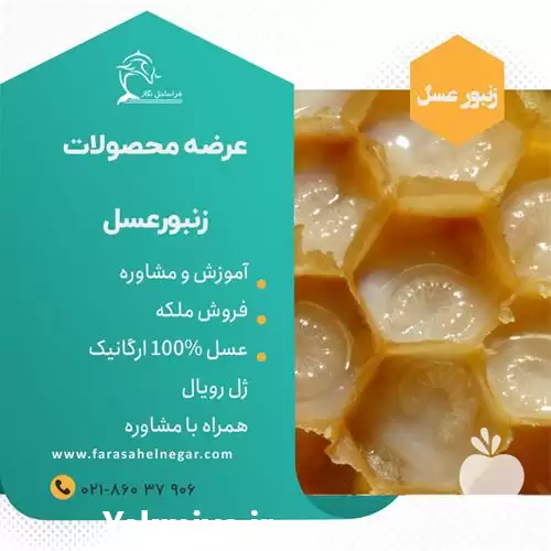 خرید ژل رویال اصل در تهران در گروه خرید و فروش زنبورعسل در یکمیوه -عکس1