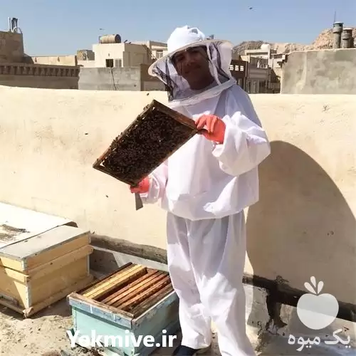 دوره آموزشی پرورش تکثیر کلنی زنبور در گروه دوره آموزش کشاورزی در یکمیوه -عکس1