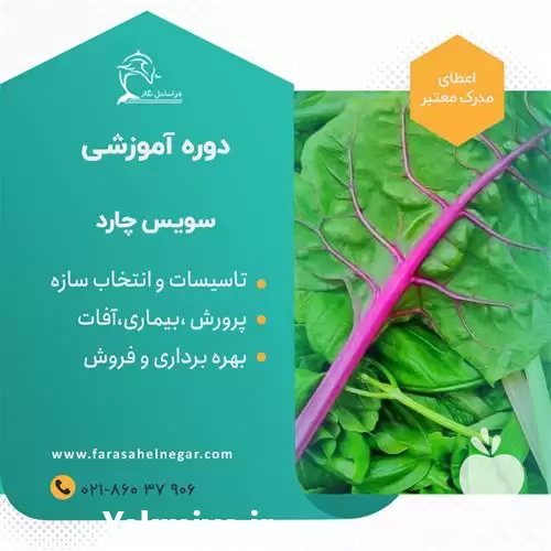 دوره آموزشی پرورش سبزی لوکس سویس در تهران در گروه دوره آموزش کشاورزی در یکمیوه -عکس1
