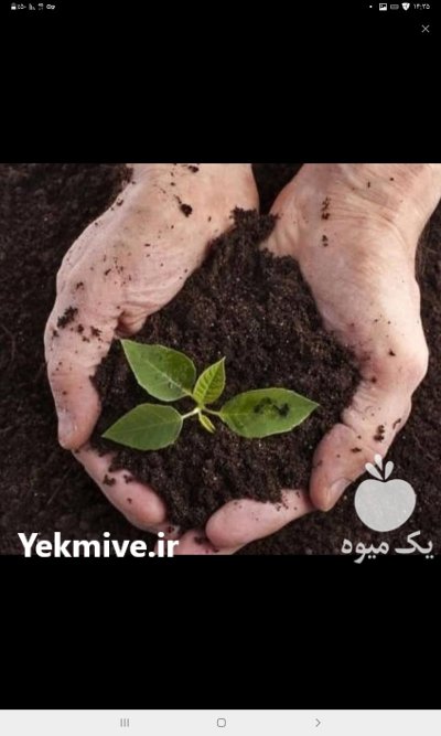 کود ورمی کمپوست در تهران در گروه خرید و فروش انواع کود کشاورزی در یکمیوه -عکس1