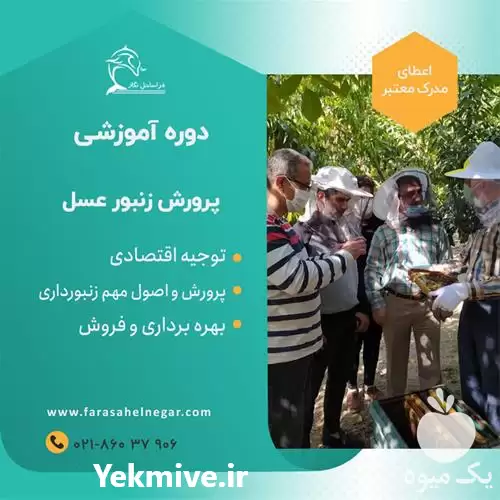 برگزاری دوره آموزش پرورش زنبور عسل در گروه دوره آموزش کشاورزی در یکمیوه -عکس1