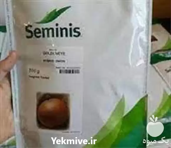 فروش بذر پیاز سمینیس گلدن آی در شیراز در گروه خرید و فروش بذر پیاز در یکمیوه -عکس1