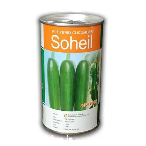 قیمت خرید عرضه بذر خیار سهیل در شیراز در گروه خرید و فروش بذر خیار در یکمیوه -عکس1