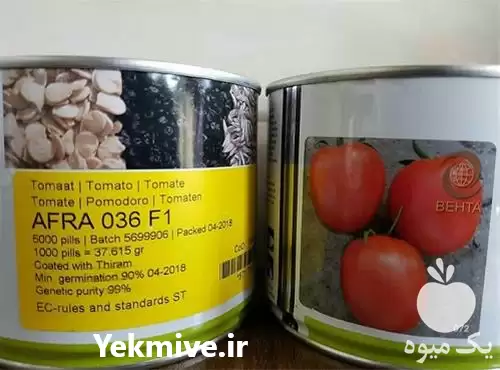 قیمت خرید قیمت بذر گوجه افرا در شیراز در گروه خرید و فروش بذر گوجه در یکمیوه -عکس1