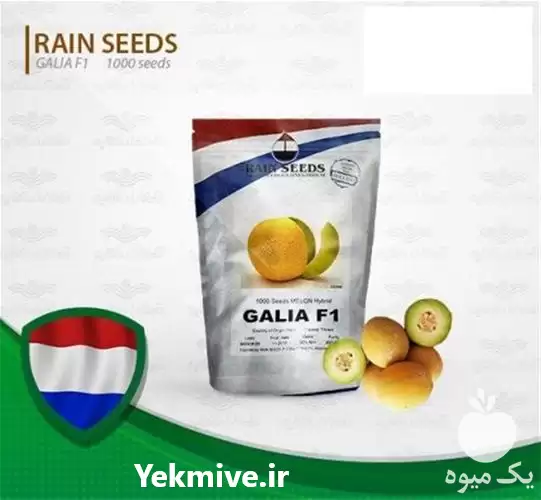 قیمت خرید بذر خربزه ملون گالیا در کرمانشاه در گروه خرید و فروش بذر خربزه در یکمیوه -عکس1