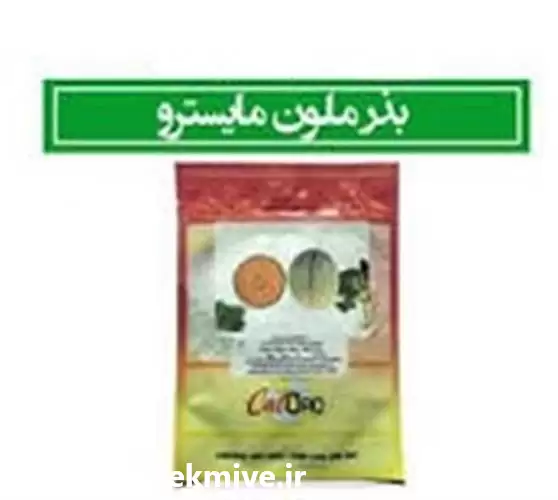 فروش بذر خربزه ملون مایسترو مشابه در ساری در گروه خرید و فروش بذر خربزه در یکمیوه -عکس1