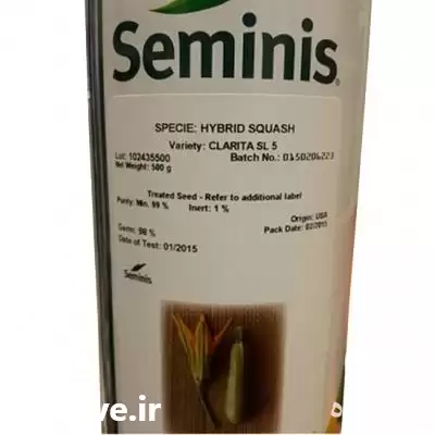 بذر کدوی زودرس کلاریتا فروش بذر در گروه خرید و فروش بذر کدو در یکمیوه -عکس1