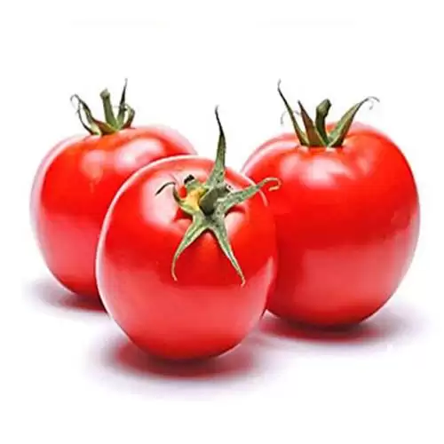 قیمت خرید بذر گوجه فرنگی هیبرید در کرج در گروه خرید و فروش بذر گوجه در یکمیوه -عکس1