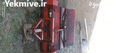 سرزن با برگ زن چغندر در میاندوآب در گروه خرید و فروش چغندر در یکمیوه -عکس2