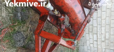 سرزن با برگ زن چغندر در میاندوآب در گروه خرید و فروش چغندر در یکمیوه -عکس3