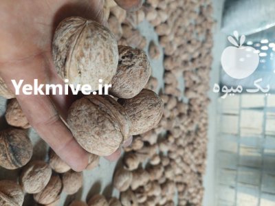 گردو درجه 1 ب شرط در نهاوند در گروه خرید و فروش گردو در یکمیوه -عکس1