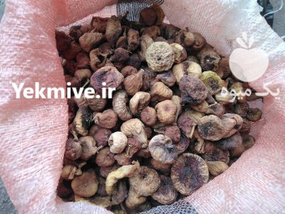 انجیر پادرختی در زنجان در گروه خرید و فروش انجیر در یکمیوه -عکس1